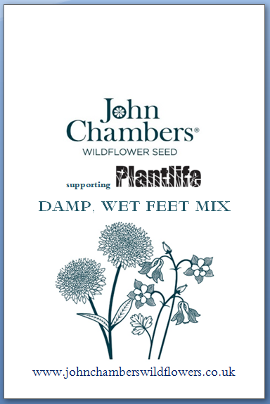 Damp, Wet Feet - Wild flower seed mixture