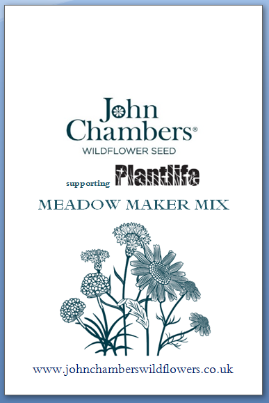 Meadow Maker - Wild flower seed mixture