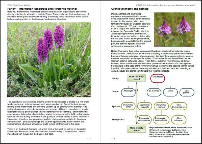 Wild Orchids of Wales - how, when and where to find them