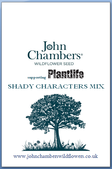 Shady Characters - Wild flower seed mixture