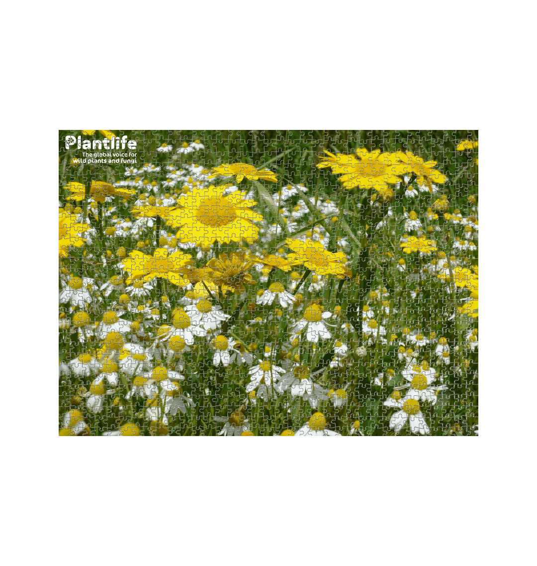 White 1000 Piece Jigsaw Puzzle