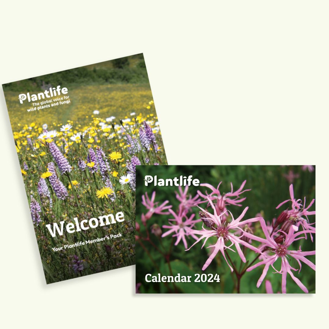 Individual Membership - Free Plantlife Calendar