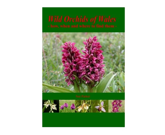 Wild Orchids of Wales - how, when and where to find them