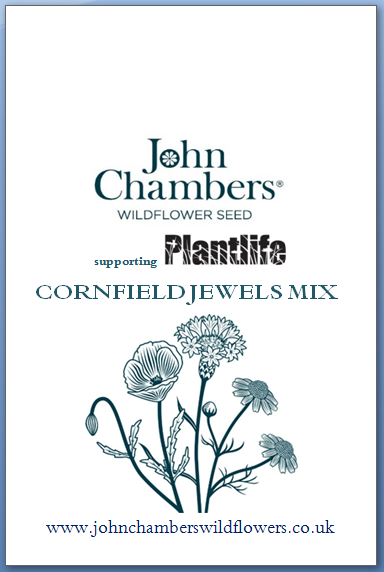 Cornfield Jewels - Wild flower seed mixture