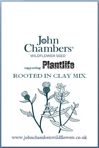 Rooted in Clay - Wild flower seed mixture
