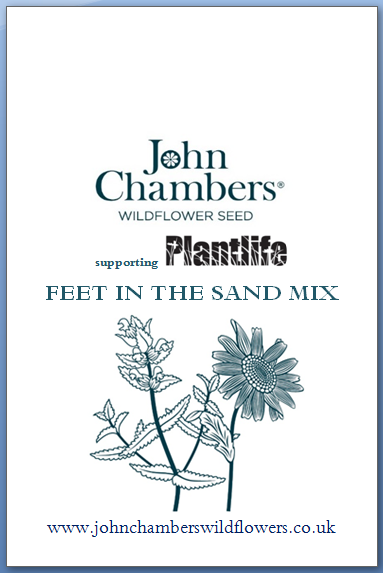 Feet in the sand - Wild flower seed mixture