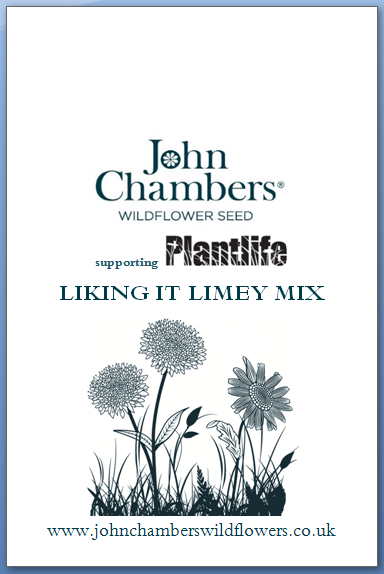 Liking it Limey - Wild flower seed mixture