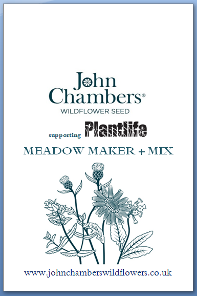Meadow Maker Plus - Wild flower seed mixture